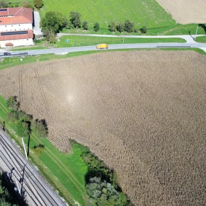 Betriebsbaugrundstück (B) I Gewerbepark Wallern an der Trattnach I 24.000 m²​​​​​​​ I ideale Verkehrsanbindung I Baubewilligung bereits vorhanden! - Bild 3