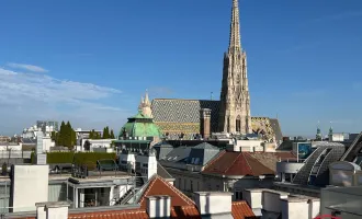 Moderne Dachgeschosswohnung (Maisonette) mit großer Dachterrasse und einzigartigem Ausblick auf den Stephansplatz