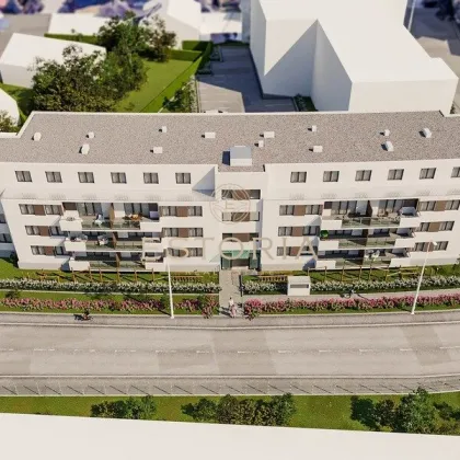 Seltene Gelegenheit! Paket bestehend aus: langfristig vermietetem Hotel mit über 6% Rendite sowie baugenehmigtem Wohnbauprojekt mit ca. 2.500m2 Wohnnutzfläche in gut frequentierter Lage an der Wiener Stadtgrenze - Bild 2