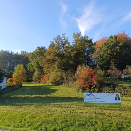 Grundstück in Mehrnbach mit 2527 m², auch teilbar - Bild 3