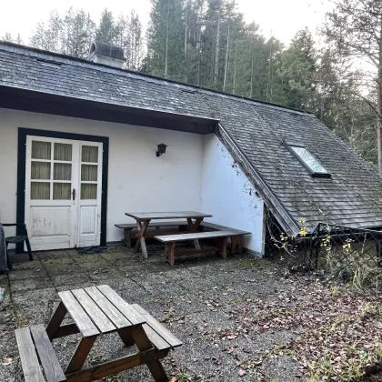 Nur 1h von Wien | Idyllisches Einfamilienhaus im romantischen Klostertal - Bild 3