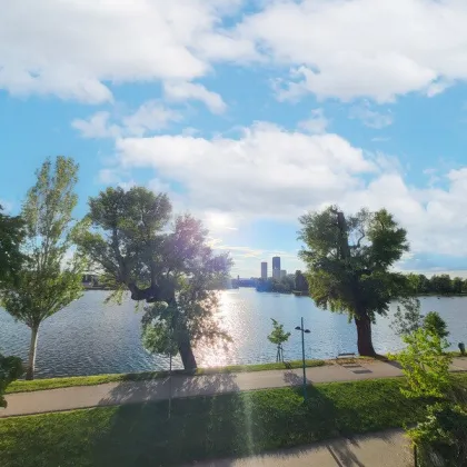 Traumhaus auf Eigengrund unweit der unteren Alten Donau - Bild 2