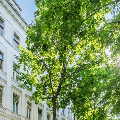 Max-Winter-Platz 18 - Stilaltbau mit einzigartigem Parkblick - Bild 2