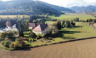 Österreich/Kärnten:Historischer Gutshof / Herrenhaus / Mansion in Kärnten Österreich!