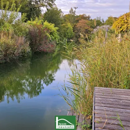 Einzigartiges Objekt am Schwimmteich, Tennisplatz inklusive! - Wertanlage und Wohnen am See; Natur PUR - Bild 2