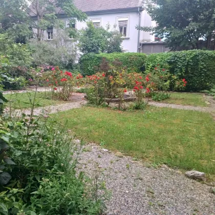 Volksgartenstraße 10/10 - Neu sanierte 3 Zimmerwohnung mit Dachterrasse Nähe Volksgarten - Bild 2