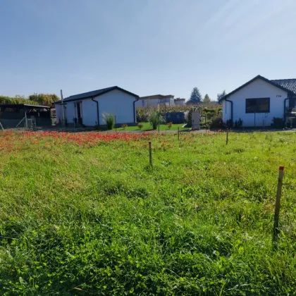 Erstbezugs-Haus südlich von Graz. - Baustart erfolgt! - Sichern Sie sich jetzt Ihr Traumhaus. - Bild 3