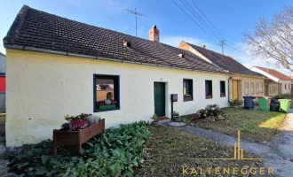 Haus mit Garten und Terrasse auf einer Ebene + Dachboden!