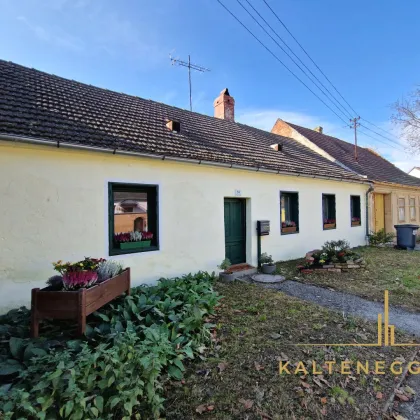 Wohnen auf einer Ebene - Haus mit Garten und Terrasse! - Bild 2