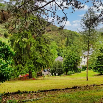 Außergewöhnliche Villa in absolut ruhiger Waldrandlage I Rund um Natur pur nahe Lainzer Tiergarten I Ausbauen+sanieren - Bild 3