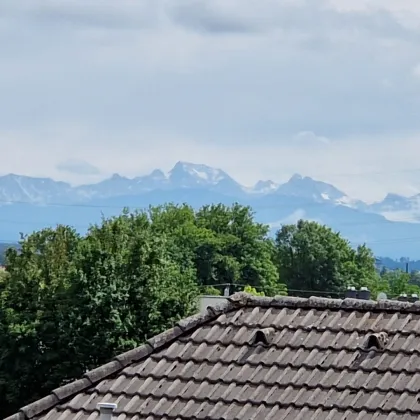 Selbstverwirklichung mit Altbestand in Leonding - 921m² für Ihr Traumhaus! - Bild 2