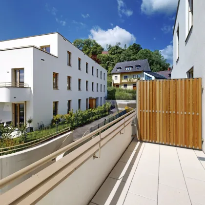 marena - Wohnen in Krems: 4-Zimmer-Wohnung mit Terrasse und Südblick - Bild 2