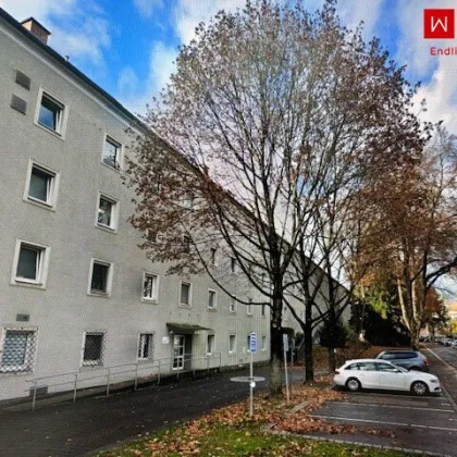 Moderne Büro-/Ordinations-/Geschäftsfläche am nachgefragten Bindermichl mit bester Infrastuktur, bestehend aus 5 + 1 Räumen und 2 WCs! - Bild 2