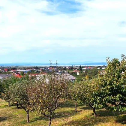 7700m² Panorama & Villenlage mit Blick über den gesamten Neusiedlersee !! - Bild 2