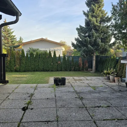 Endlich Platz - Einfamilienhaus mit Carport und Garage - Bild 3