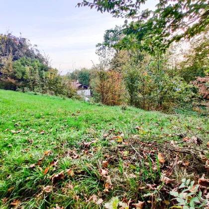 Wohnbau-Grund zentral in Lambach. - Infrastruktur und Bahn fußläufig. - Unter 15 Min. nach Wels. - Bild 3