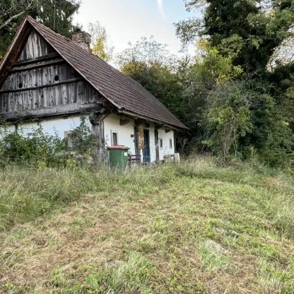 ++TRAUMHAFT SCHÖNE AUSSICHTSLAGE++IDYLLISCH gelegene KLEINLANDWIRTSCHAFT++ca, 2,6 Ha SCHEIBENGRUND, mit alten typischen Bauernhaus. - Bild 2