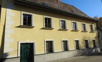 Sehr gepflegtes und schönes Herrenstadthaus mit über 300-jähriger Adelsgeschichte in Heidenreichstein im idyllischen Waldviertel!