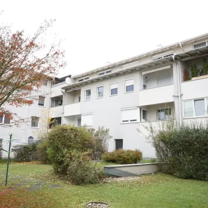 WOHNEN IN HÖRSCHING - 3 ZIMMER WOHNUNG MIT BALKON UND GARAGE - Bild 2