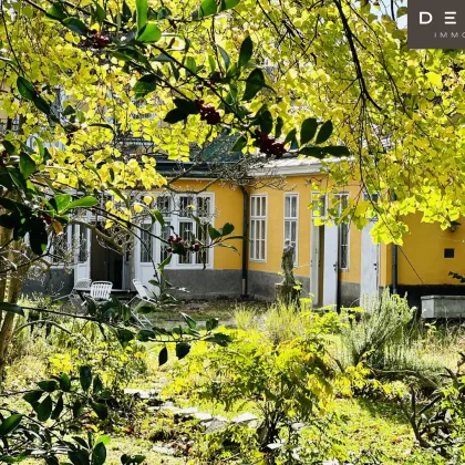 EINMALIGE HISTORISCHE STADTVILLA MIT PARKÄHNLICHEM GARTEN IM HERZEN DÖBLINGS ZU VERKAUFEN - HAUSGARTEN VOM ARCHITEKTEN ESCH - Bild 3