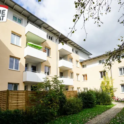 WOHNEN IN SCHWANENSTADT - 3 ZIMMER WOHNUNG MIT BALKON - Bild 2