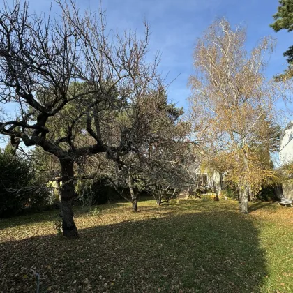 Nachgefragte LAGE in MAUER + EINFAMILIENHAUS + RUHELAGE + SONNIG + RUND 1.200m² GRUNDFLÄCHE! - Bild 2