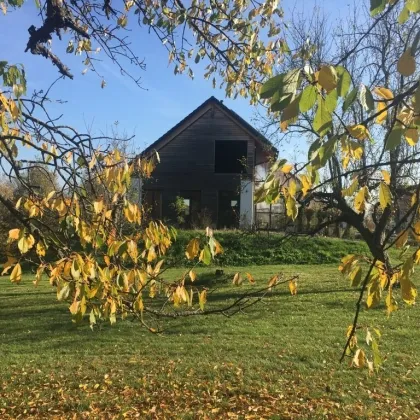 Kleine Landwirtschaft mit Haus, vielfältige Zu- und Ausbaumöglichkeiten - Bild 3