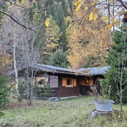 Kuscheliges Holzhaus mitten im Nationalpark Hohe Tauern - Bild 2