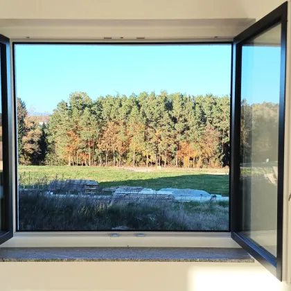 SONNE-RUHE-KOMFORT stilvoll Wohnen im modernen Neubau mit Terrasse, Doppelcarport - Bild 2