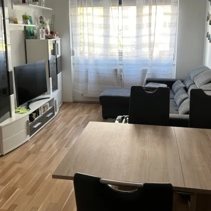 Modernes Wohnen in Wien, 2 Zimmer - Bild 2