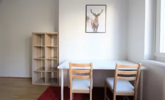 Moderne 1-Zimmer-Wohnung im Herzen von Wien! Kurzzeitvermietung!