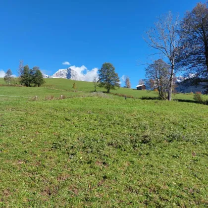 Wunderschönes Baugrundstück in erhöhter Lage von Maria Alm (ca. 400qm) - Bild 2