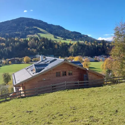 Wunderschönes Baugrundstück in erhöhter Lage von Maria Alm (ca. 400qm) - Bild 3