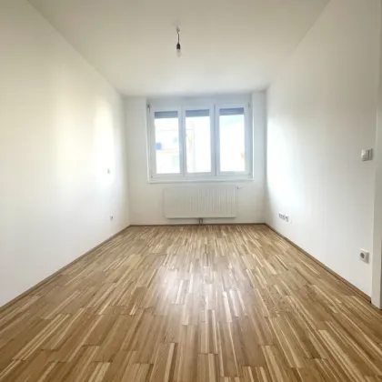 Neu renovierte  2-Zimmerwohnung - zu mieten! - Bild 2