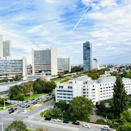 Hochhaus "Neue Donau" top möblierte 2- Zimmer Wohnung / direkt an der Reichsbrücke - vis a vis DC Tower und Uno City - Bild 2