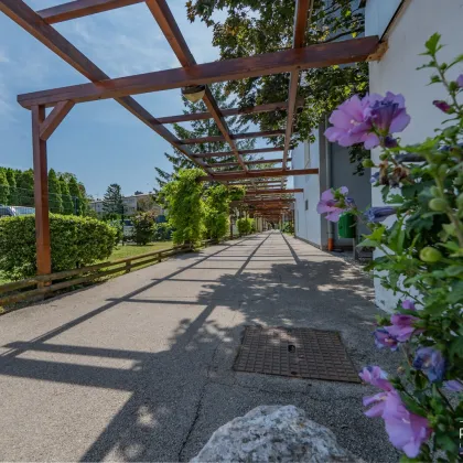 NEU in Wiener Neudorf++Wohnen im Grünen ++Südseitige Dachgeschosswohnung mit Loggia – Ihr sonniges Zuhause++– Ideal für junge Familien und Paare++ - Bild 2