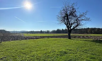 STEIERMARK-STAINZ: SANIERUNGSBEDÜRFTIGES KELLERSTÖCKL IN SONNIGER ALLEINLAGE!