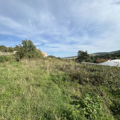 unbebautes Grundstück mit südlichem Fernblick zu verkaufen - Bild 3