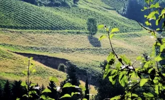 Südsteiermark: Einzigartiger. gemütlicher Hausanteil vollausgestattet und möbliert mit eigener Sauna! KURZZEITMIETE möglich!