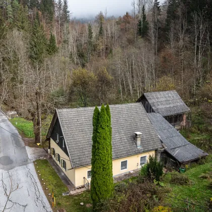 Idyllische Alleinlage im Wandergebiet Zell-Koschuta. - Bild 2