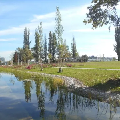 Q5 am PARK sonnige 2ZI mit 20m² S/O Balkon Reininghaus Gründe - Bild 2