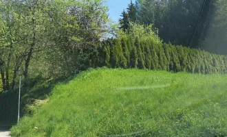 Baugrundstück am Waldrand von Weer