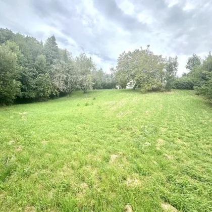 Idyllisches Einfamilienhaus mit ca. 2.959 m² Grundstück in Sieggraben – Ihr neues Zuhause im Grünen - Bild 3