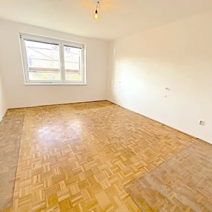 PROVISIONSFREI VOM EIGENTÜMER! 3 ZIMMER WOHNUNG IN KLOSTERNEUBURG! - Bild 3