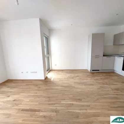 *** Baustart-AKTION "Early Bird" - tolle 1-Zimmer Wohnung mit Terrasse - leistbarer Neubau Nähe St.Pölten / Wohnpark Ober-Grafendorf - ökologisch, hochmodern, ausgezeichnet *** - Bild 3