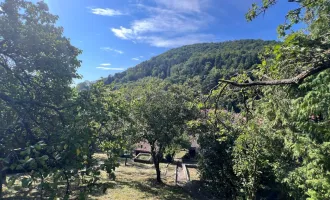 Bauplatz mit toller Aussicht,  Hausbestand und großen Garten