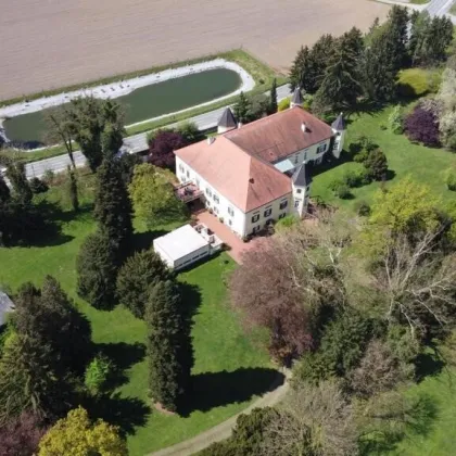 Ein Märchenschloss Nähe Wildon-komplett saniert mit prachtvoller ca. 40.000m² Parkanlage - Biomasseheizung! - Bild 2