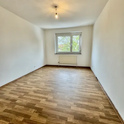 TOLLE 4 ZIMMER FAMILIENWOHNUNG IN GÄNSERNDORF STADT - Bild 3