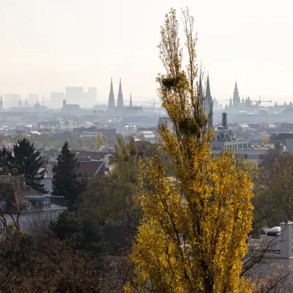 Einzigartige Dachgeschosswohnung mit atemberaubendem Blick über Wien - Bild 3