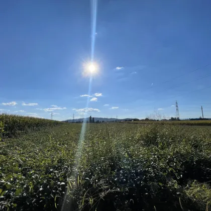 TOLLE GELEGENHEIT! Gewerbegrundstück für SIE - ca. 1,5 ha großes GEWERBEGRUNDSTÜCK 0,3 - 2,0 Dichte mit direkter Nähe zur Autobahn und zur Eisenbahn! Alternativen in der Umgebung auch verfügbar! - Bild 2